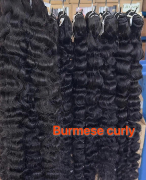 Burmese Curly